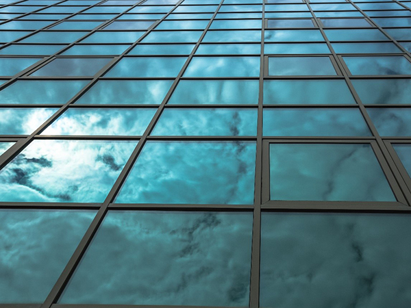 Window film Dorset
